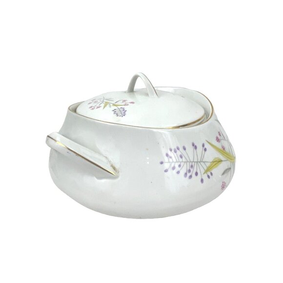 Bohemian Vintage Porcelain Soup Tureen With Lid & Handles Floral Design White & - Picture 3 of 8
